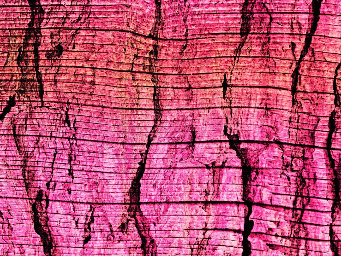 textura de madera rosa foto