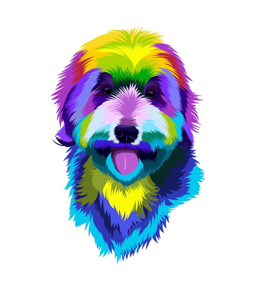 Retrato de cabeza de perro labradoodle de pinturas multicolores. salpicadura de acuarela, dibujo colorido, realista. ilustración vectorial de pinturas vector