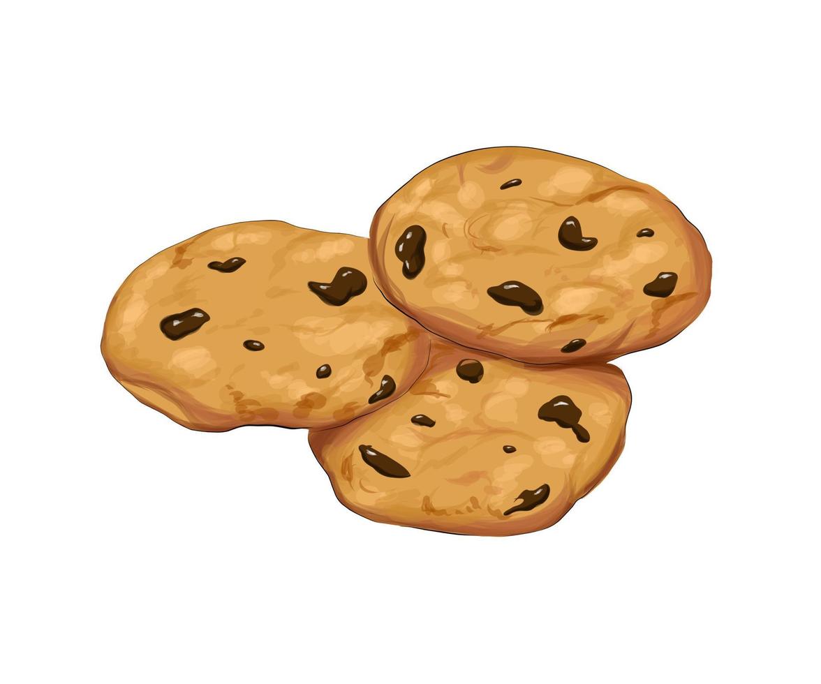 Chocolate cookies from multicolored paints. Splash of watercolor, colorful drawing, realistic. Vector illustration of paints