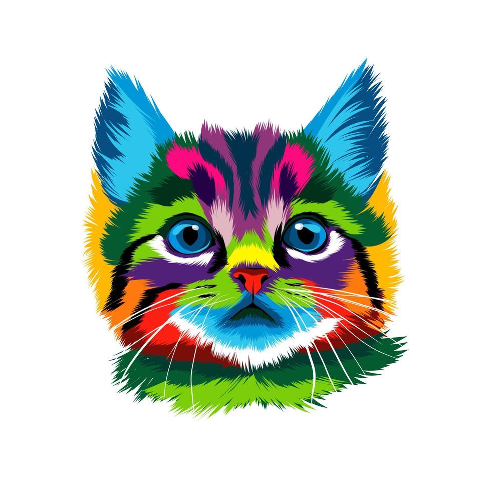 Kitten face portrait, cat face from multicolored paints. Splash of watercolor, colored drawing, realistic. Vector illustration of paints