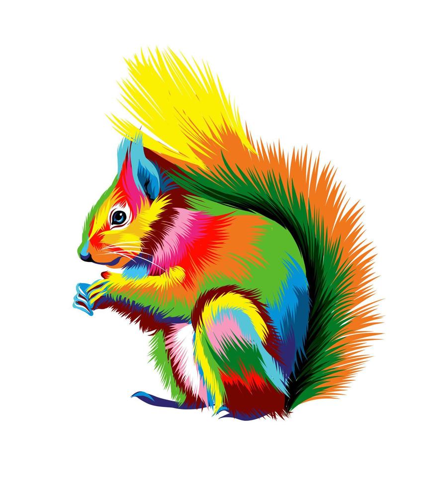 Eurasian red squirrel from multicolored paints. Splash of watercolor, colored drawing, realistic. Vector illustration of paints