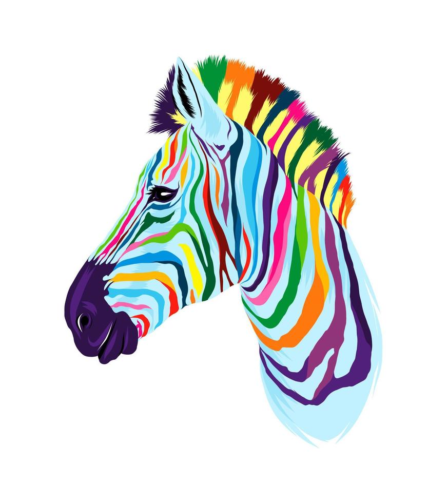 Zebra head portrait from multicolored paints. Splash of watercolor, colored drawing, realistic. Vector illustration of paints