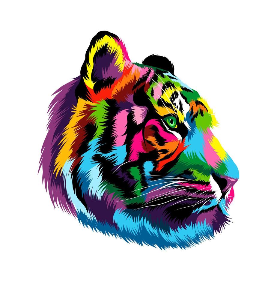 Retrato de cabeza de tigre de pinturas multicolores. salpicadura de acuarela, dibujo coloreado, realista. ilustración vectorial de pinturas vector