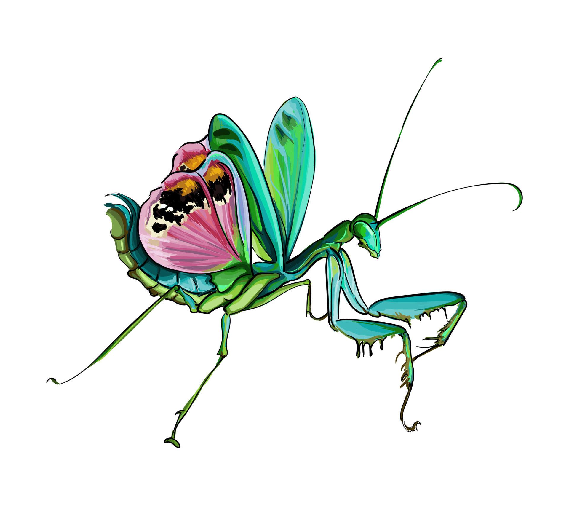 Mantis in a defensive position from multicolored paints. Splash of