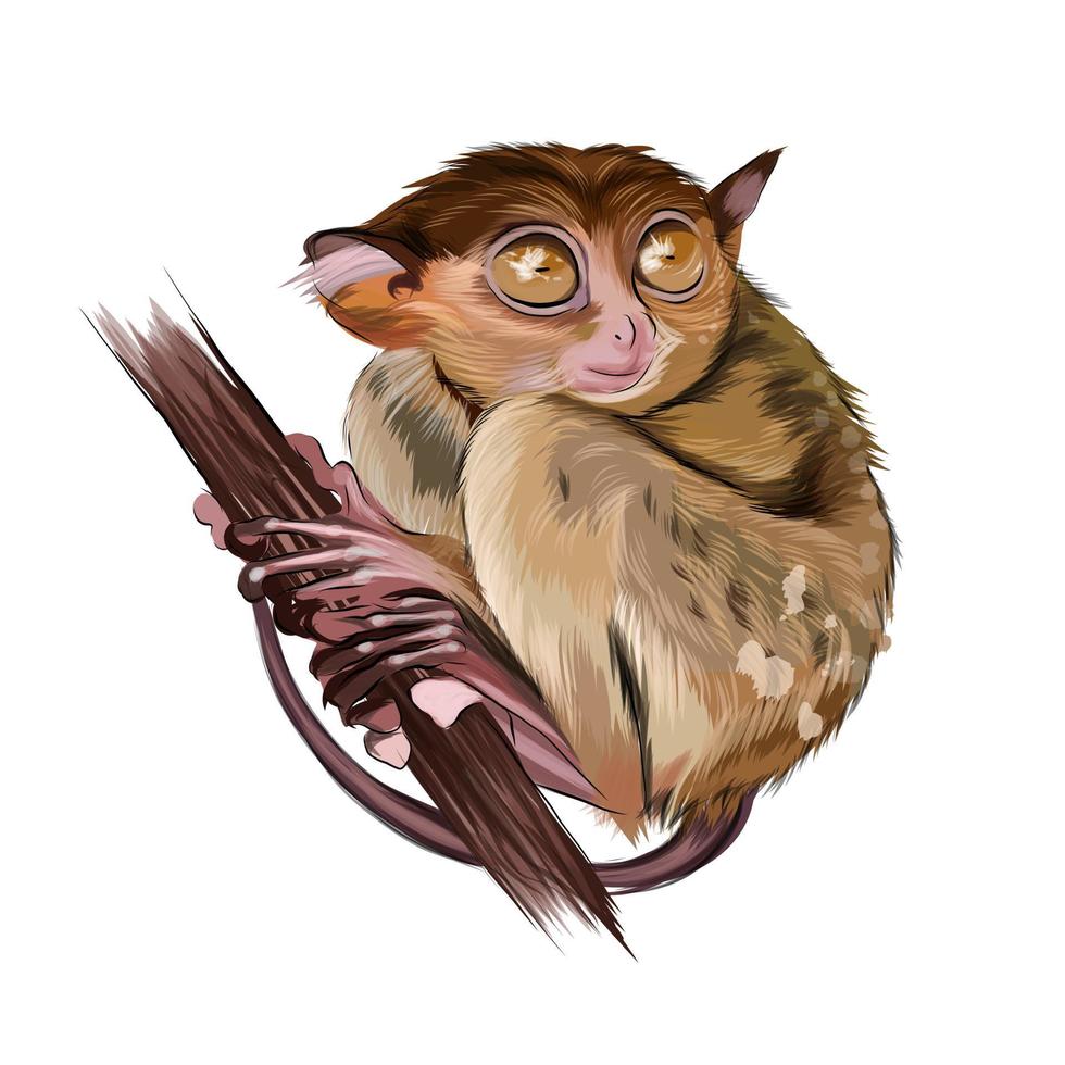 Lemur tarsier sitting on a branch from multicolored paints. Splash of watercolor, colorful drawing, realistic. Vector illustration of paints