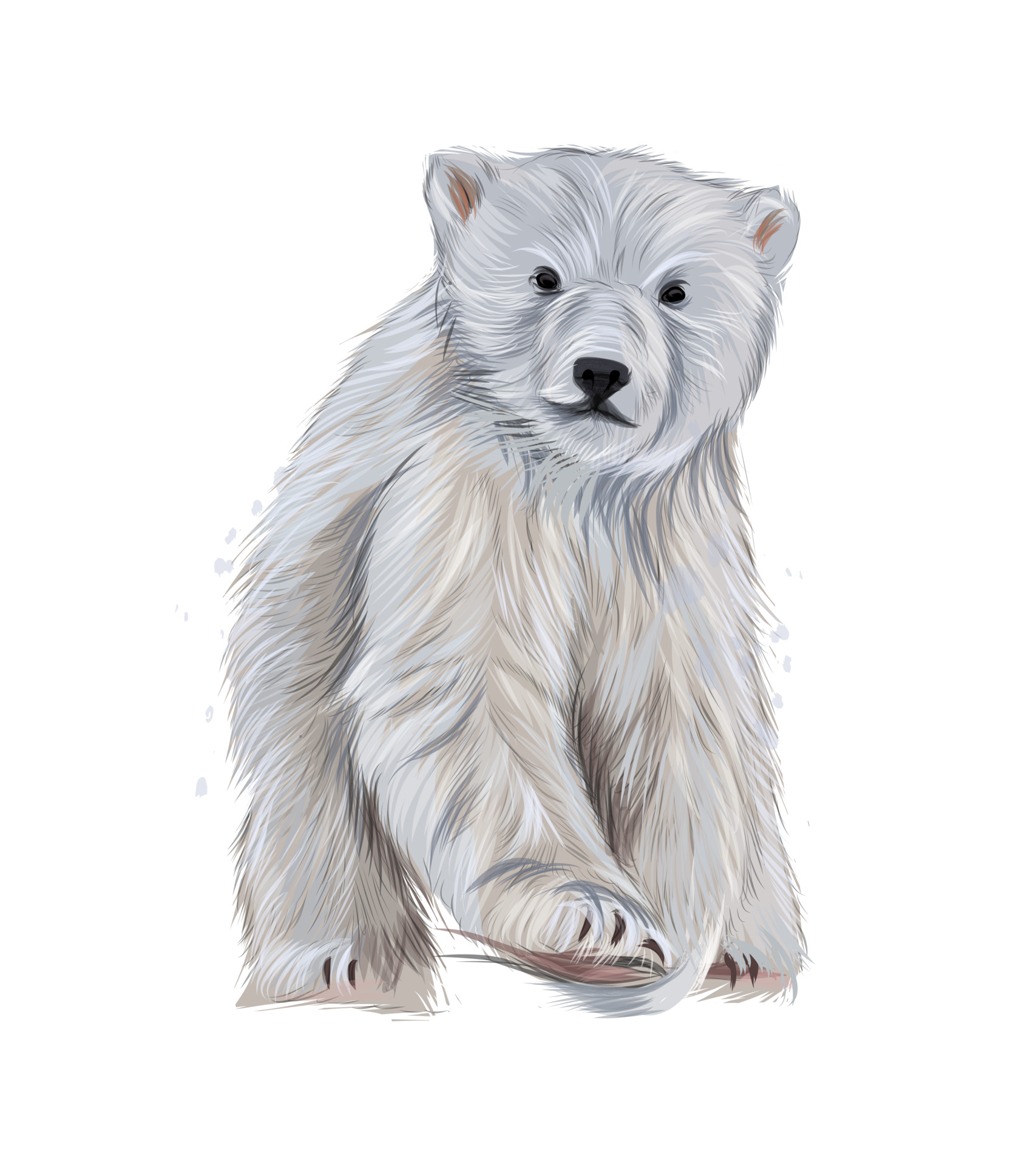 Polar Bear Vector Art
 Polar bear from multicolored paints Splash of watercolor colored