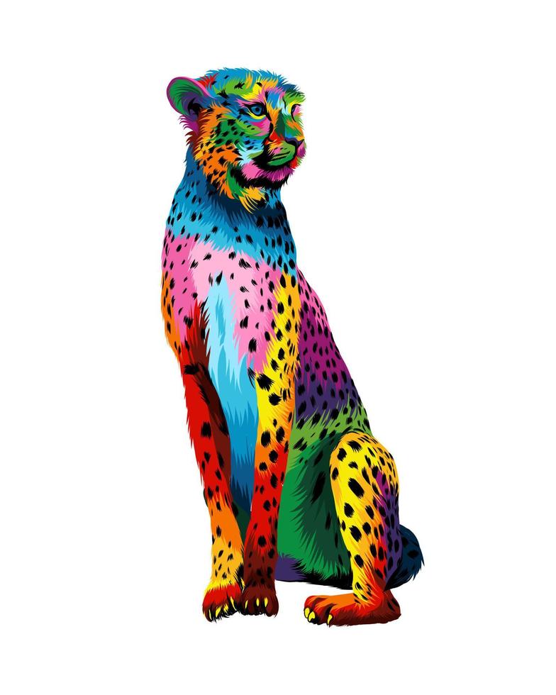 Cheetah from multicolored paints. Splash of watercolor, colored drawing, realistic. Vector illustration of paints