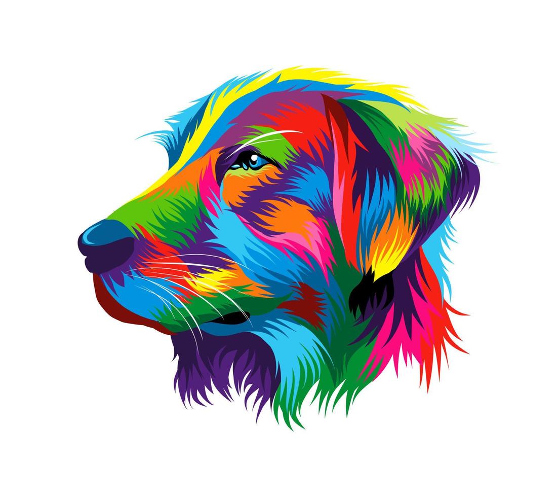 Portrait of the head of a golden retriever from multicolored paints. Splash of watercolor, colored drawing, realistic. Vector illustration of paints