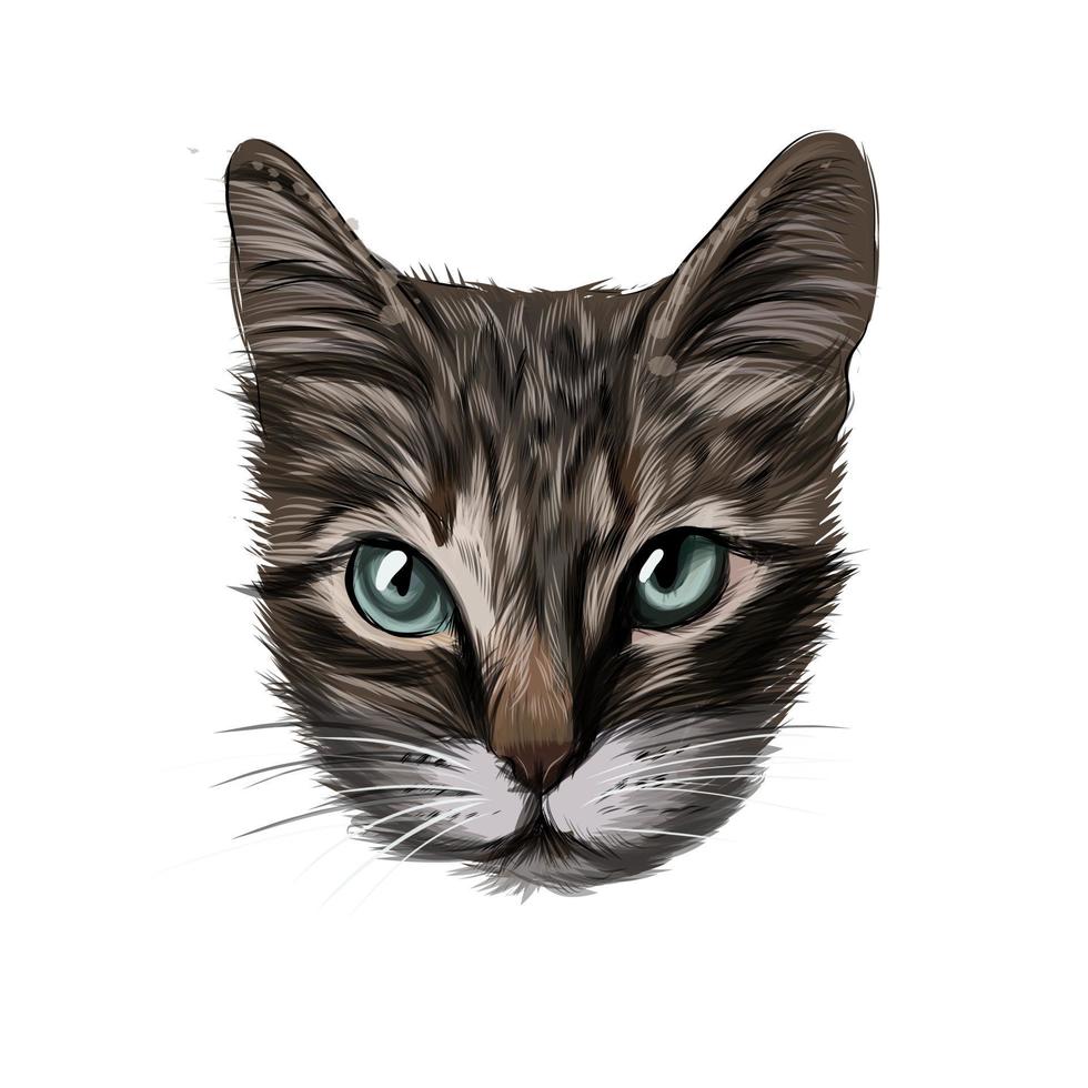 Kitten face portrait, cat face from multicolored paints. Splash of watercolor, colored drawing, realistic. Vector illustration of paints