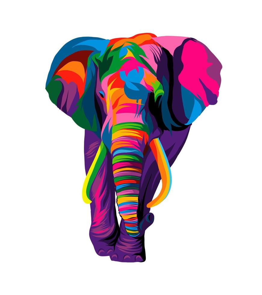 Elephant from multicolored paints. Splash of watercolor, colored drawing, realistic. Vector illustration of paints