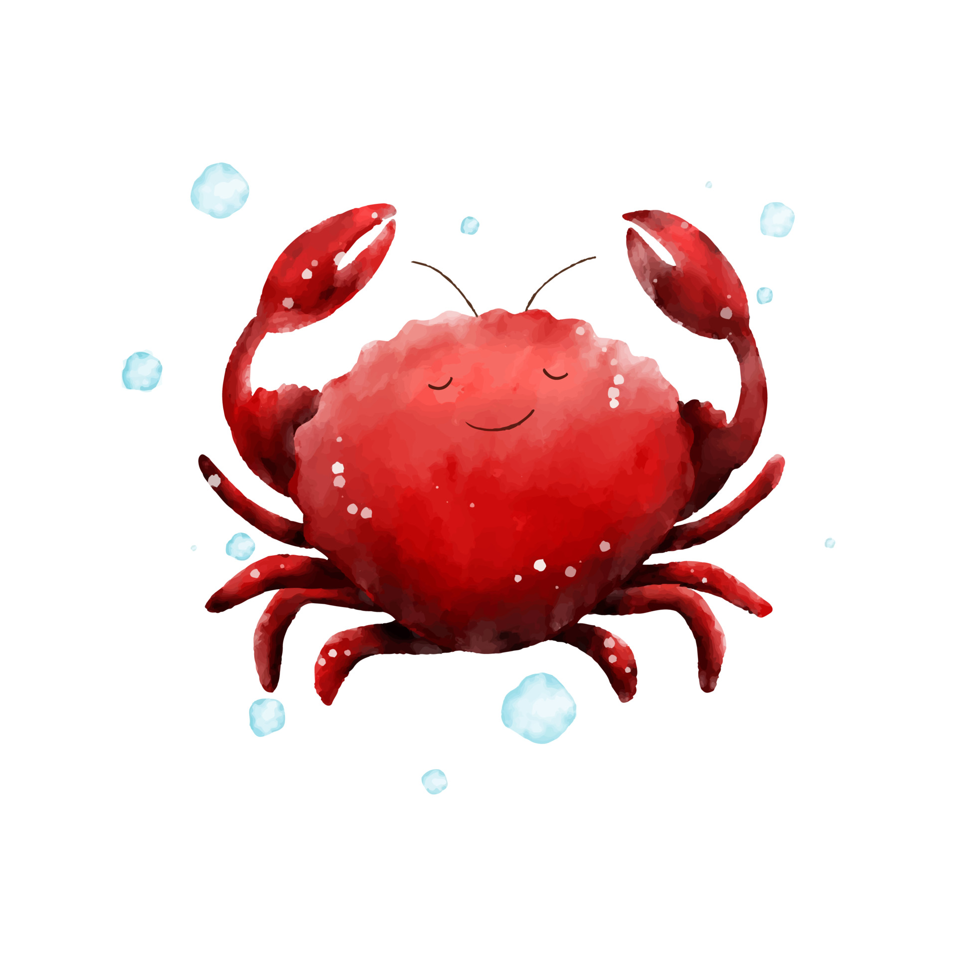 water animals crab