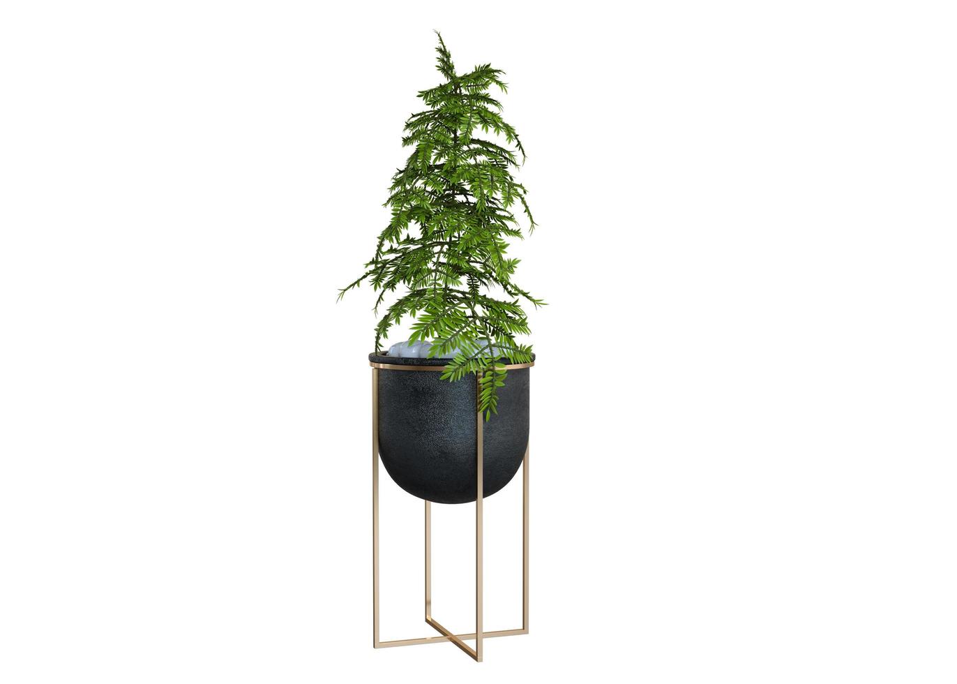Plant 3d Rendering photo