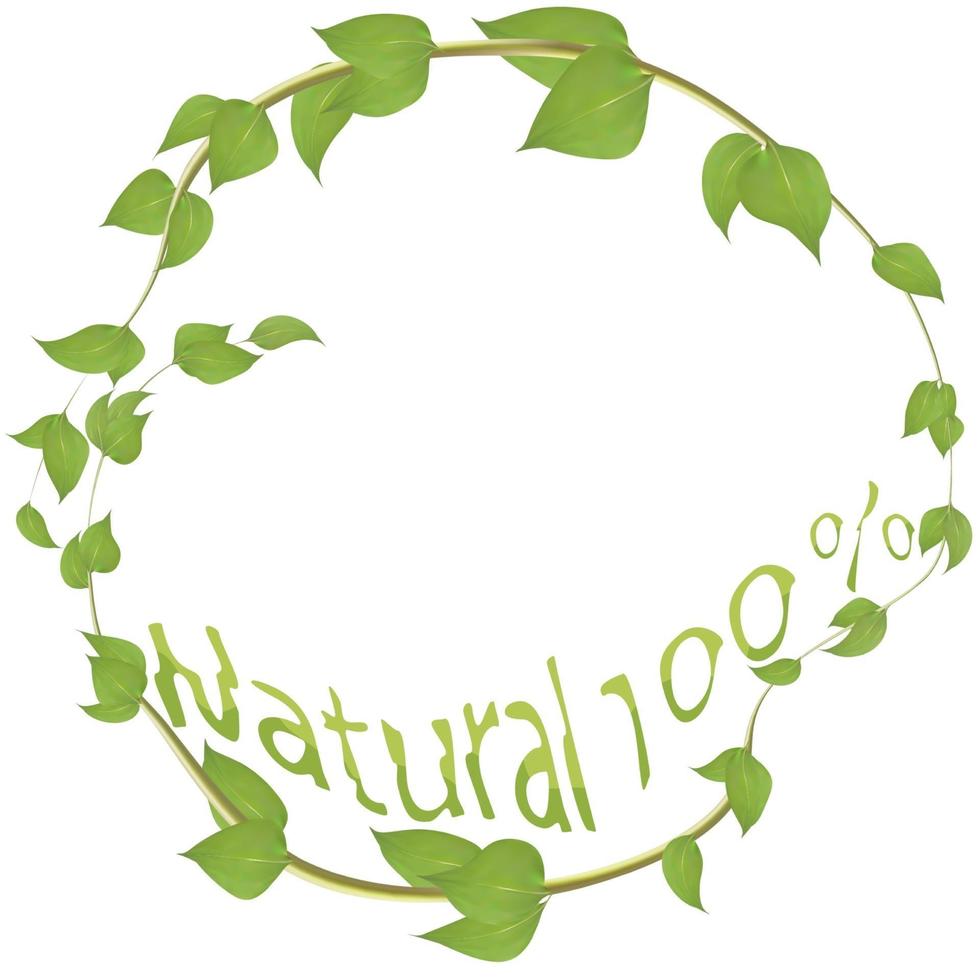 Round frame made of branches with leaves inscribed with natural for decoration vector
