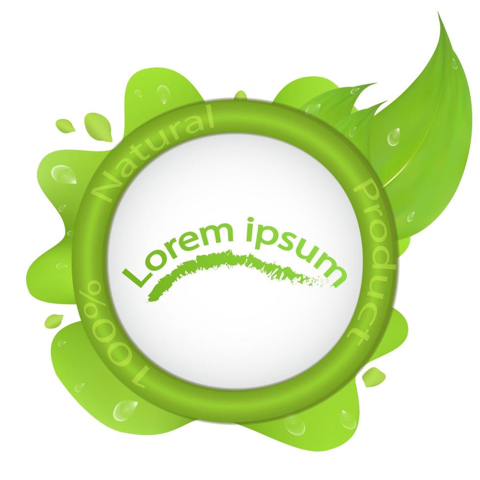 Green leaf on the background of a circle with a shadow logo of a natural product on a background of a green blob vector