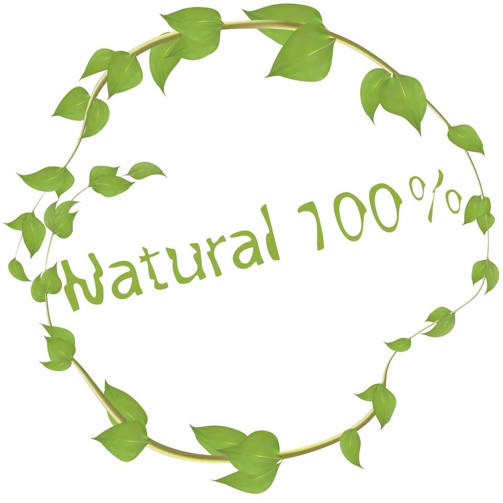 Round frame made of branches with leaves inscribed with natural for decoration vector