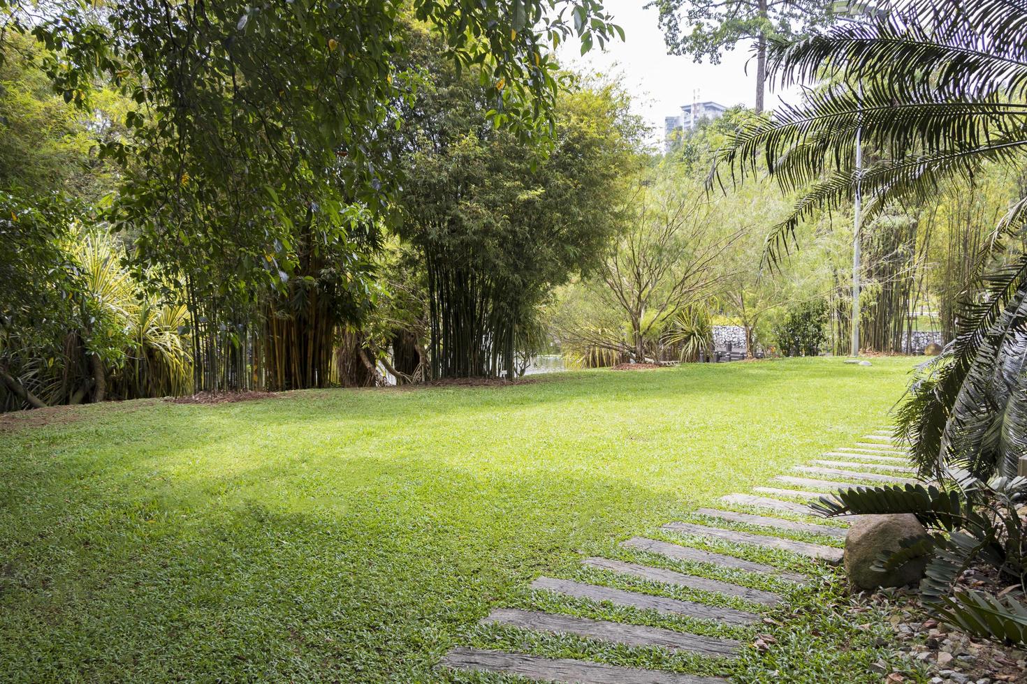 Sendero para caminar a la casa de juegos de bambú, los jardines botánicos de Perdana, Malasia foto