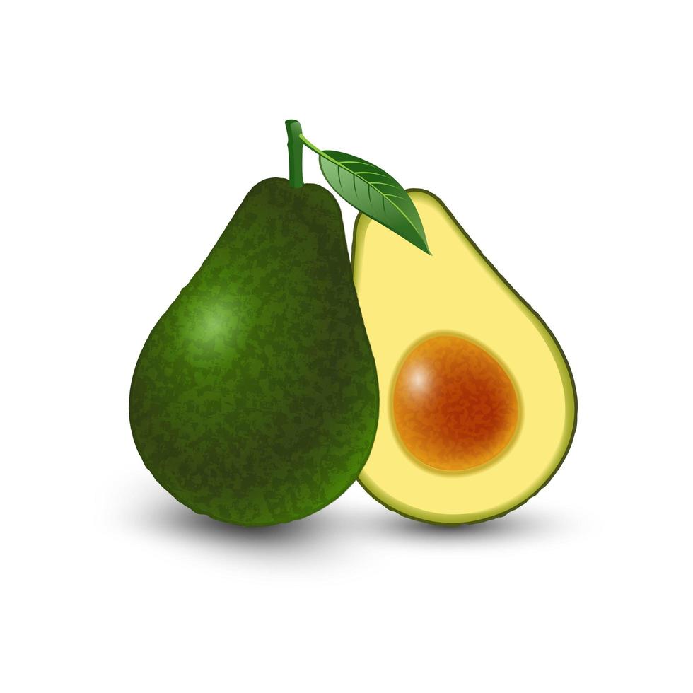 Vector realista aguacate de fruta fresca aislado sobre fondo blanco. entero y cortado por la mitad del aguacate con hueso. ilustración vectorial.