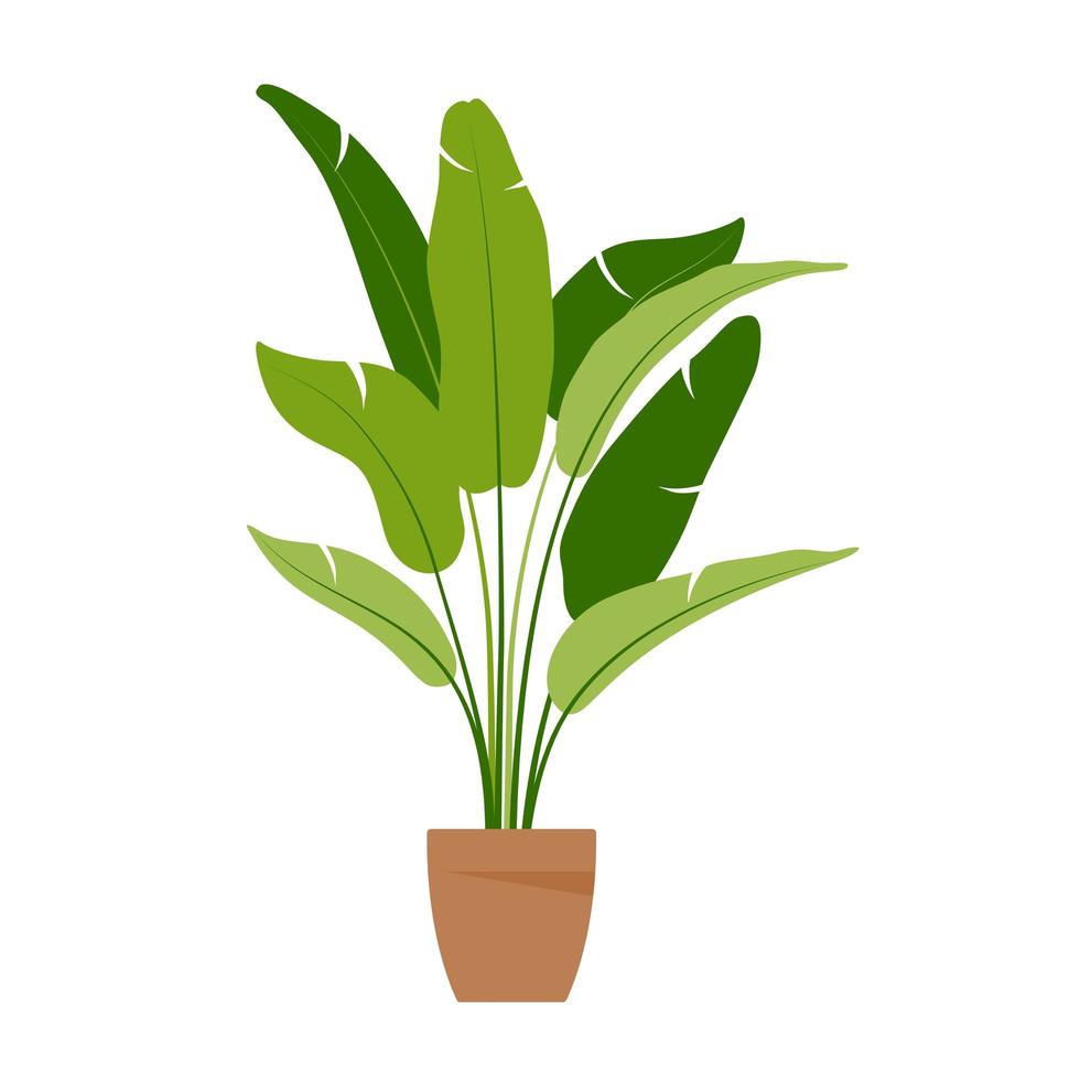 Home plant. Potted plant isolated on white. Flat. Vector illustration.