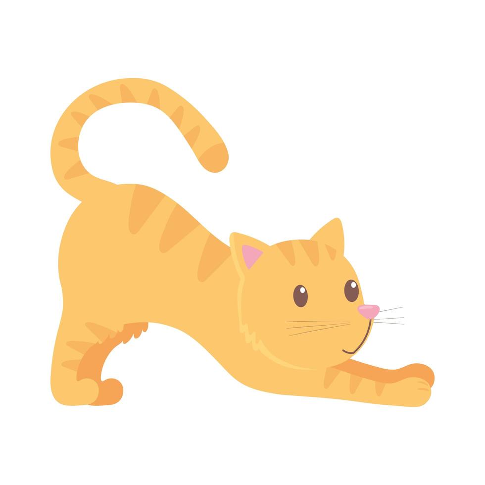 lindo gato estirando vector