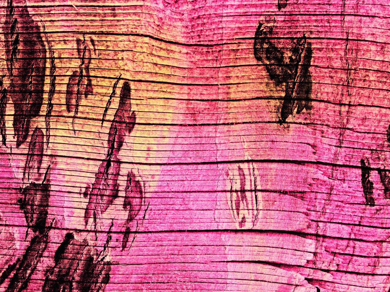 textura de madera rosa foto