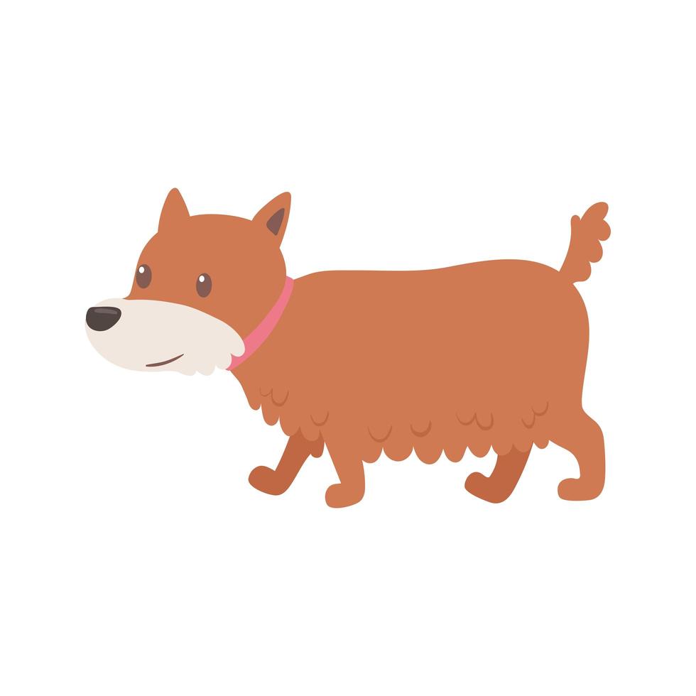 cute dog pet vector
