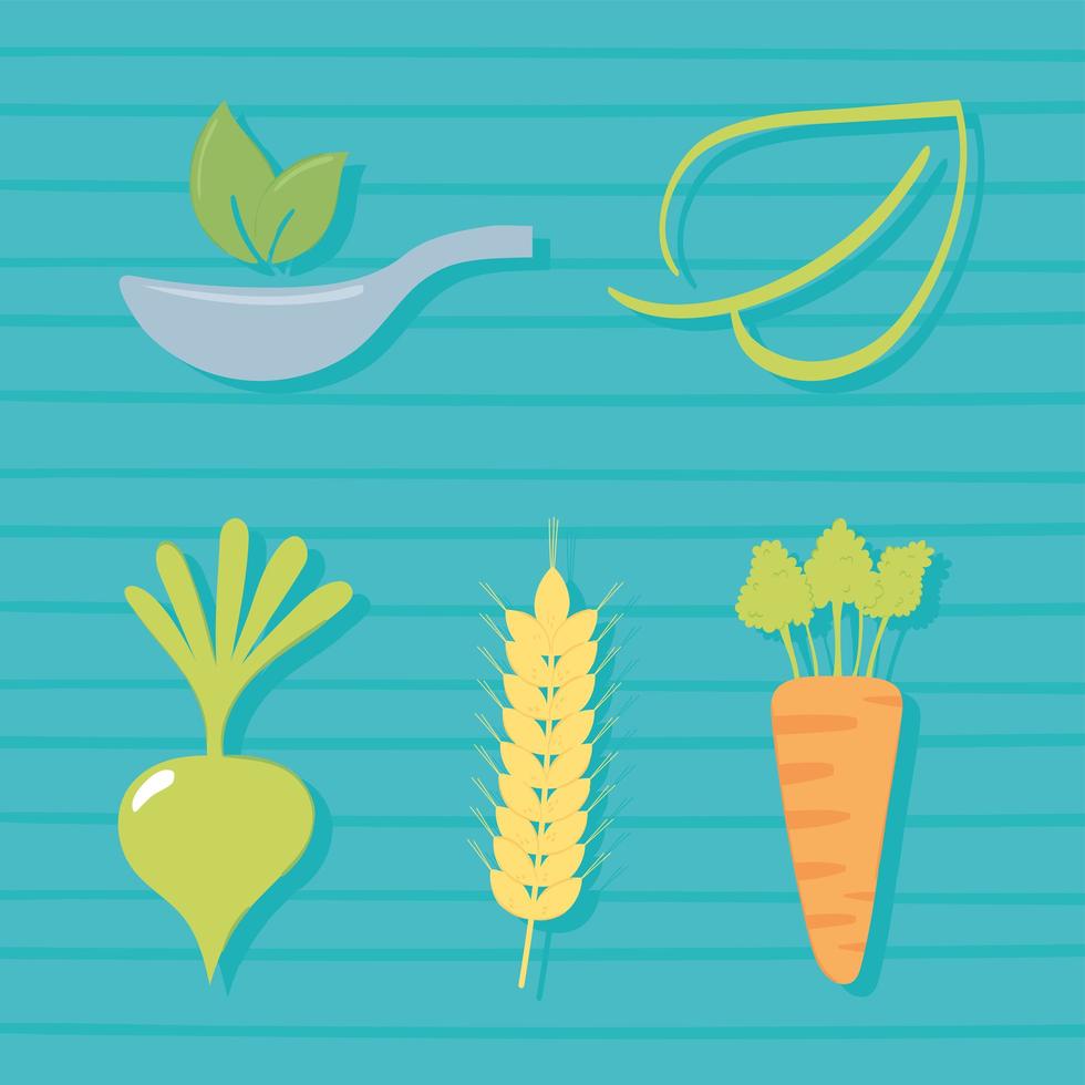 food fresh produce set vector