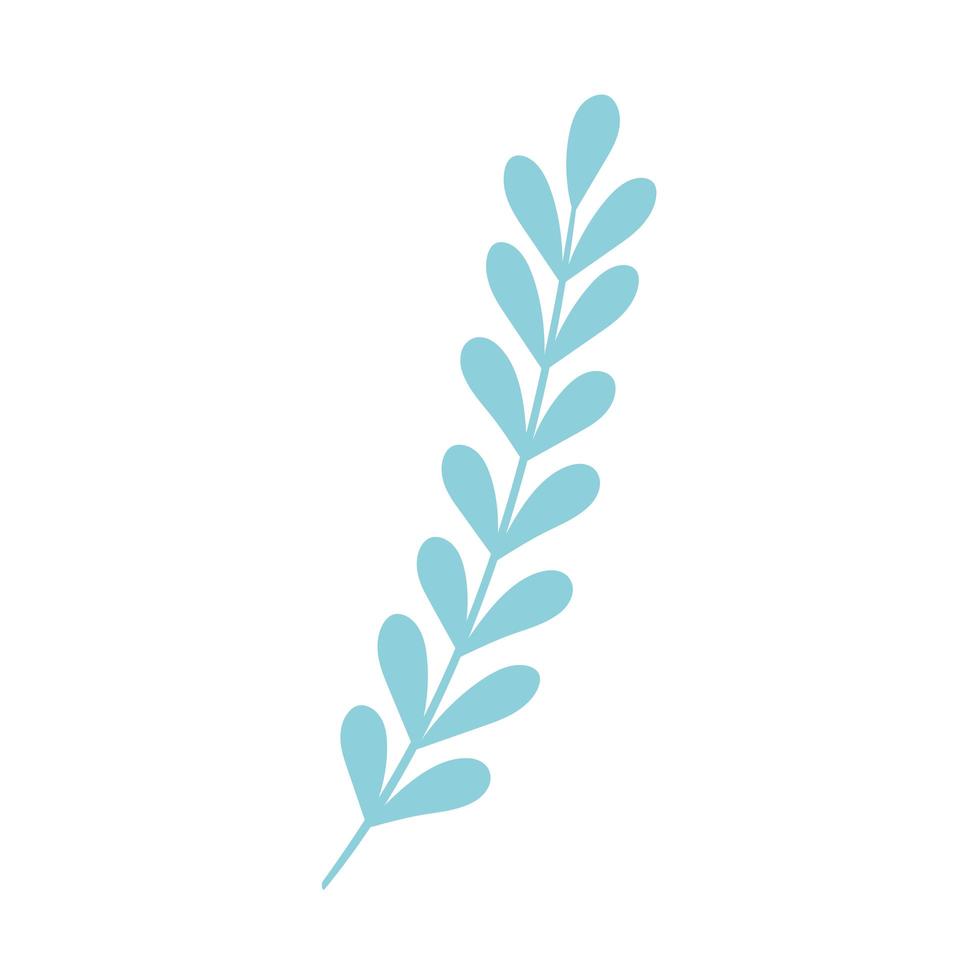leaves branch nature vector