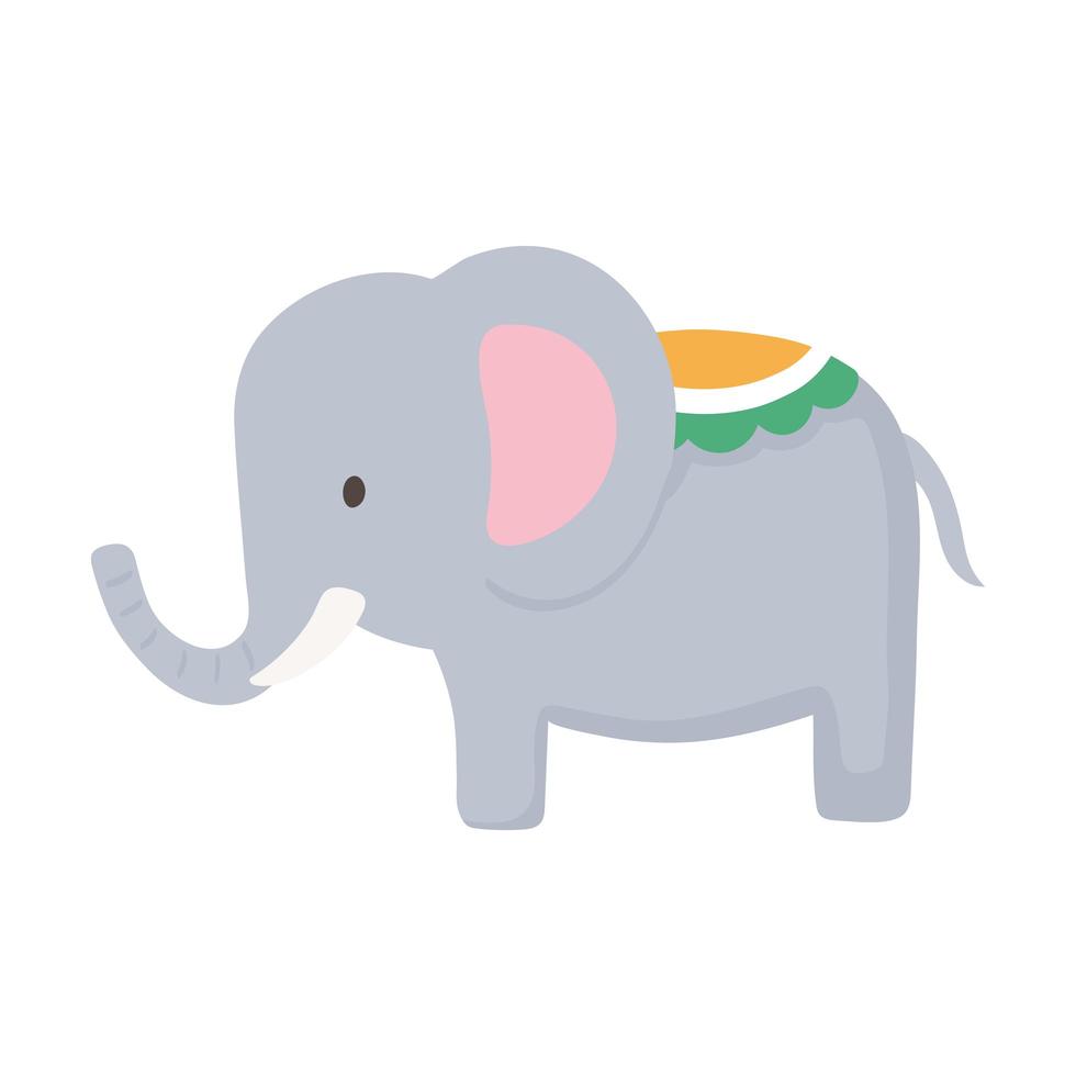 elephant indian animal vector