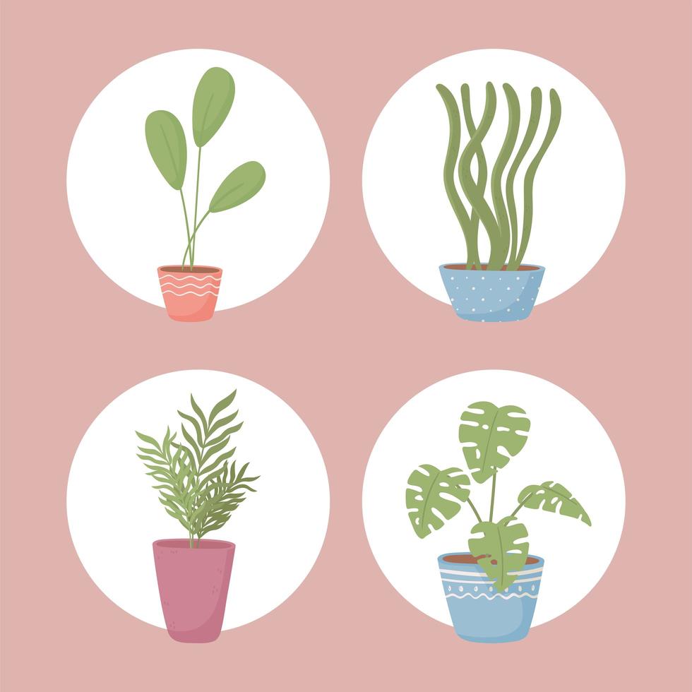 icon set pot plants vector