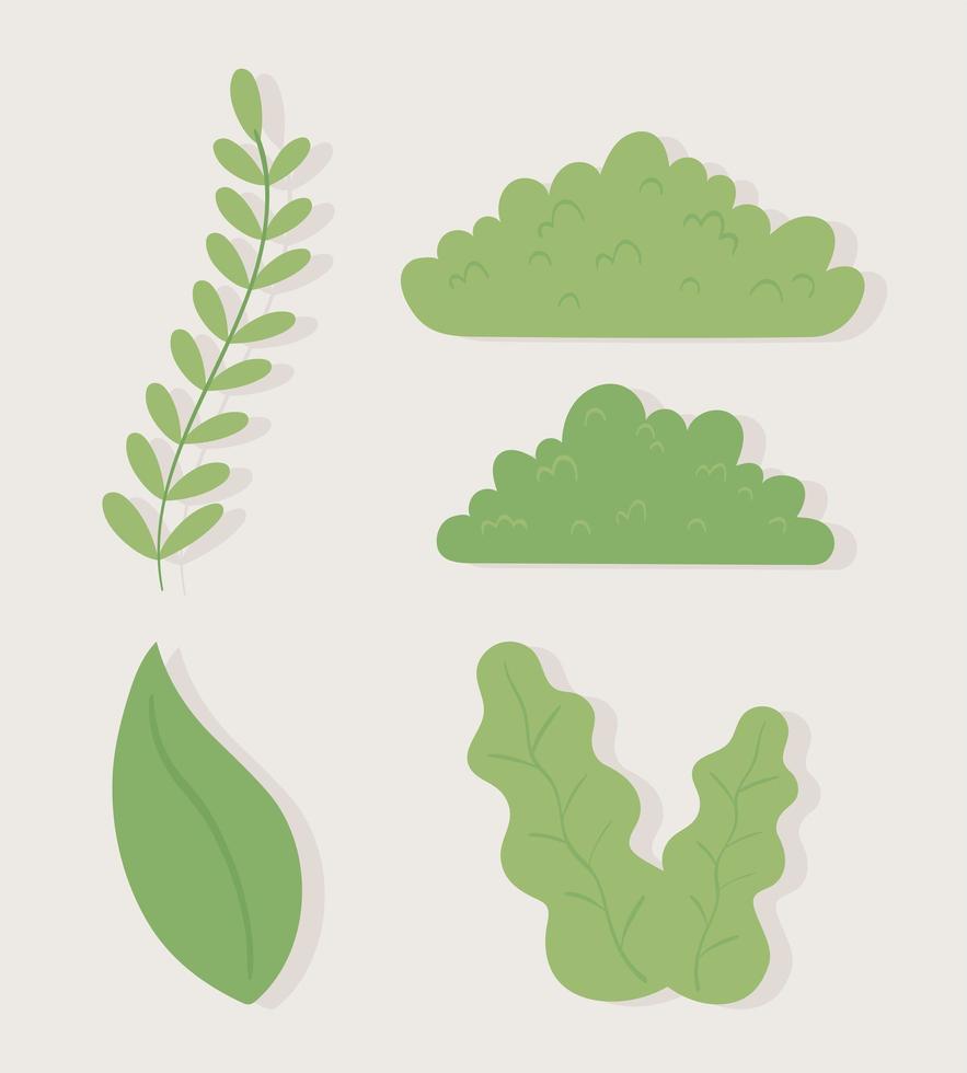 leaves bushes foliage set vector