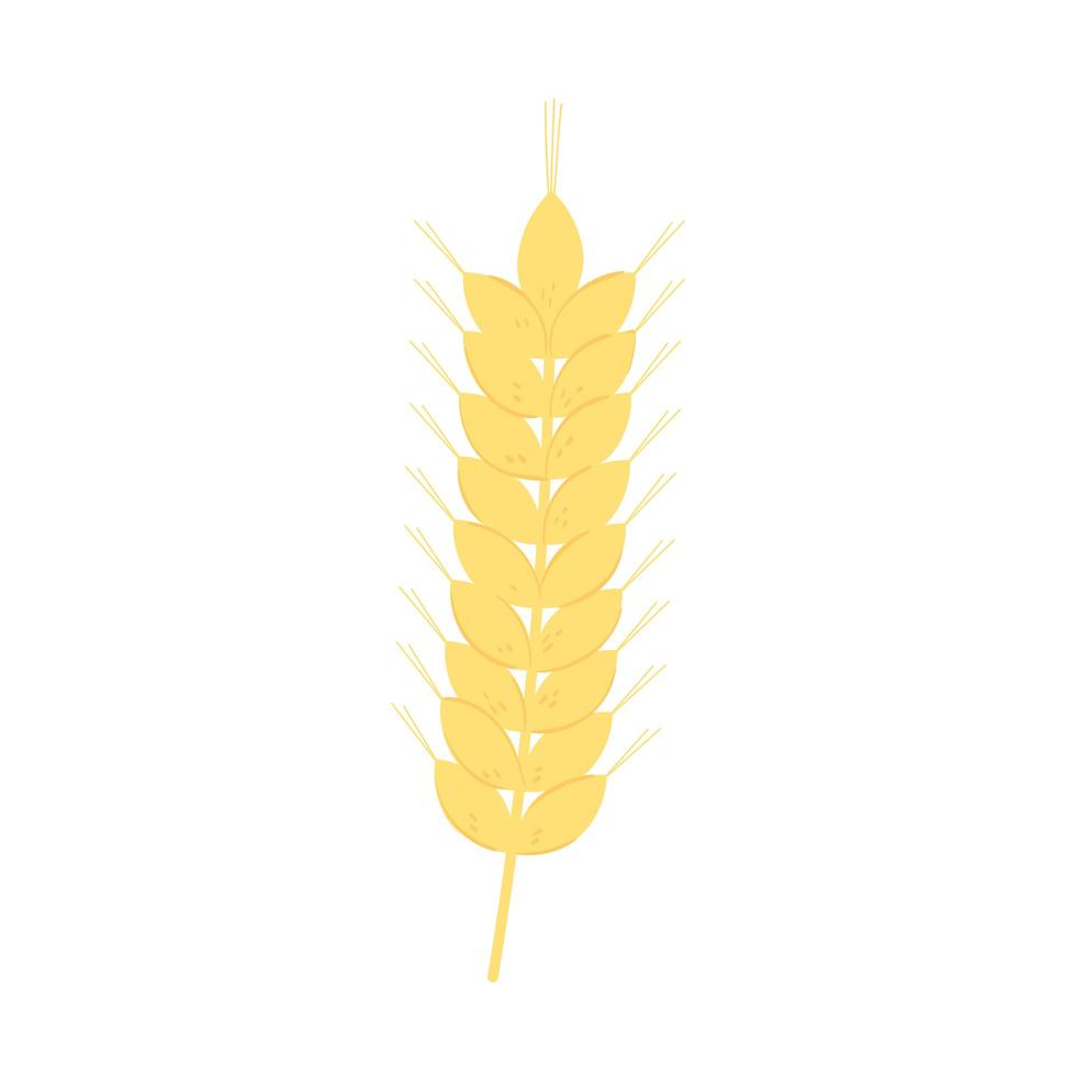 cosecha de espigas de trigo vector