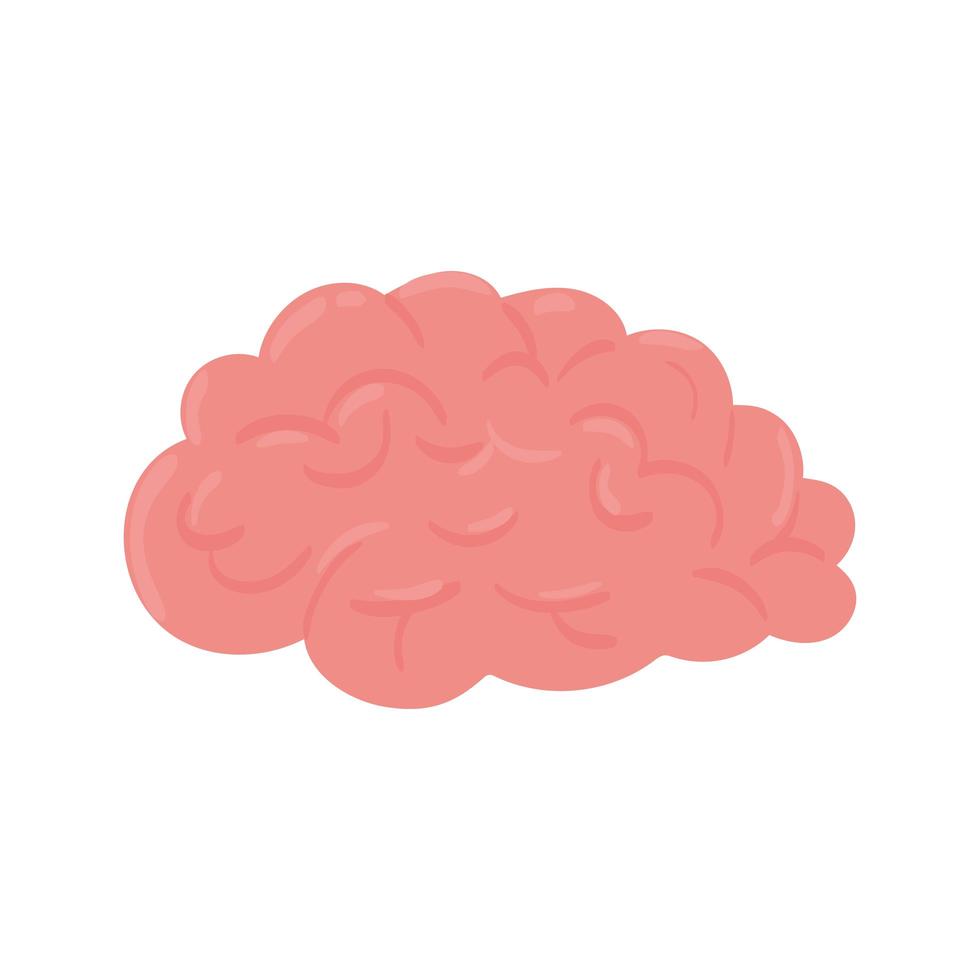 human brain organ vector