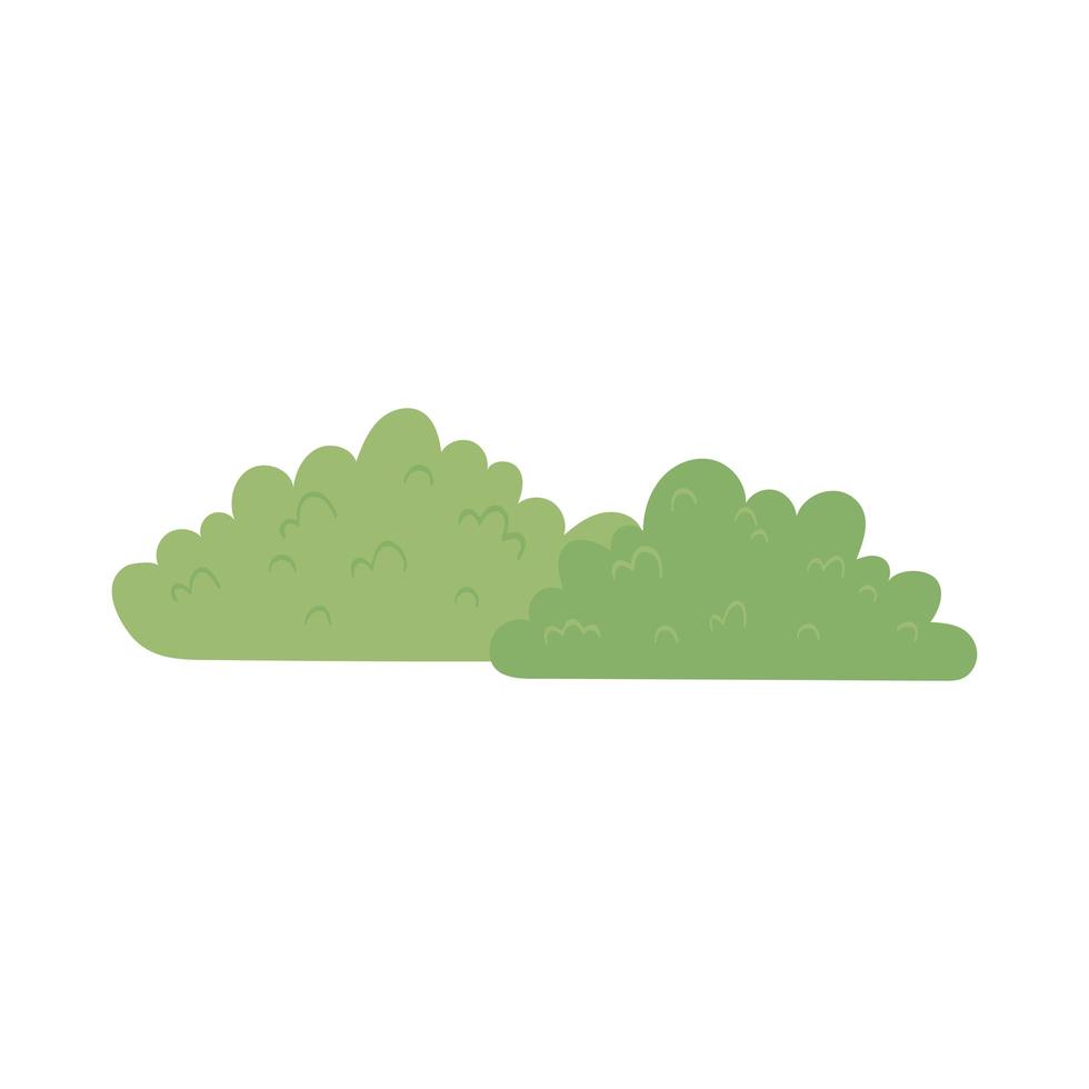 natural green bush vector