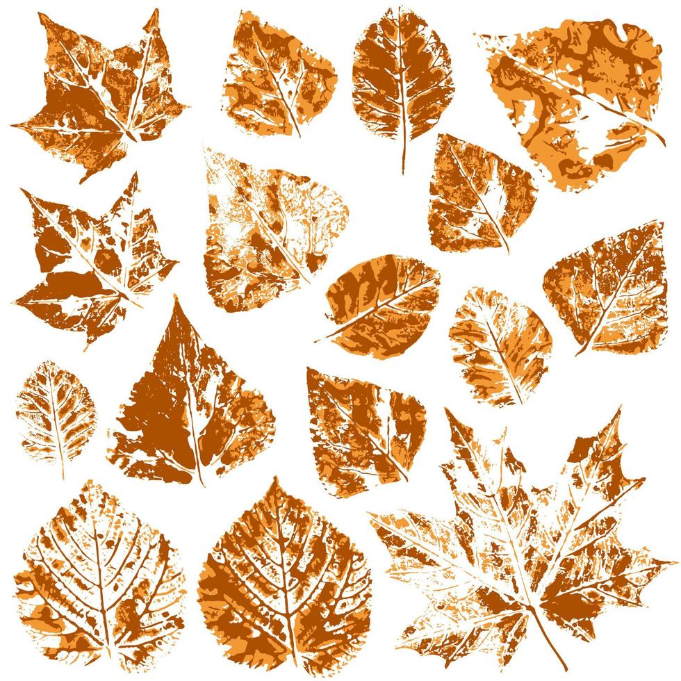 Set of vector drawings with acrylic paints. Collection of autumn leaves