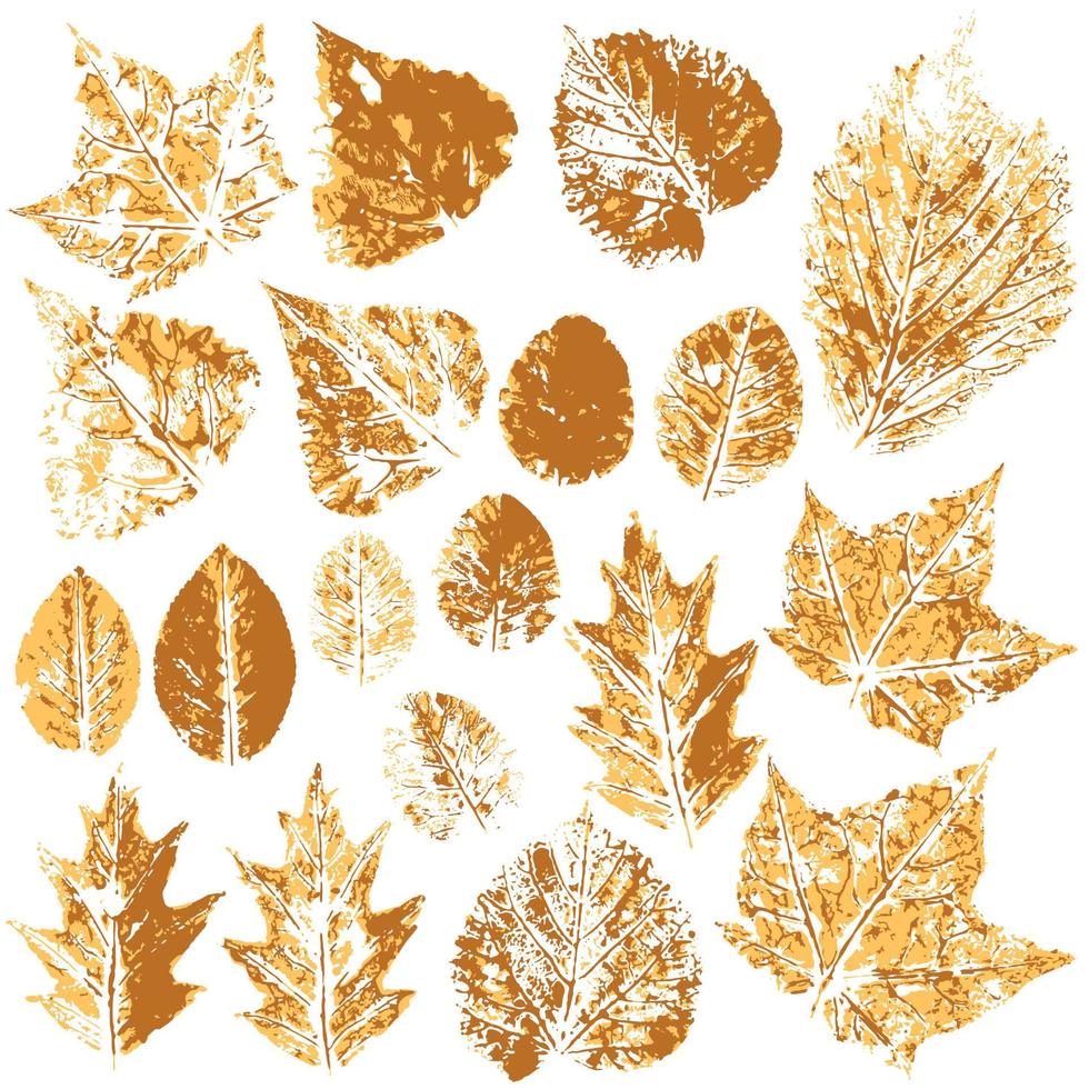 Set of vector drawings with acrylic paints. Collection of autumn leaves