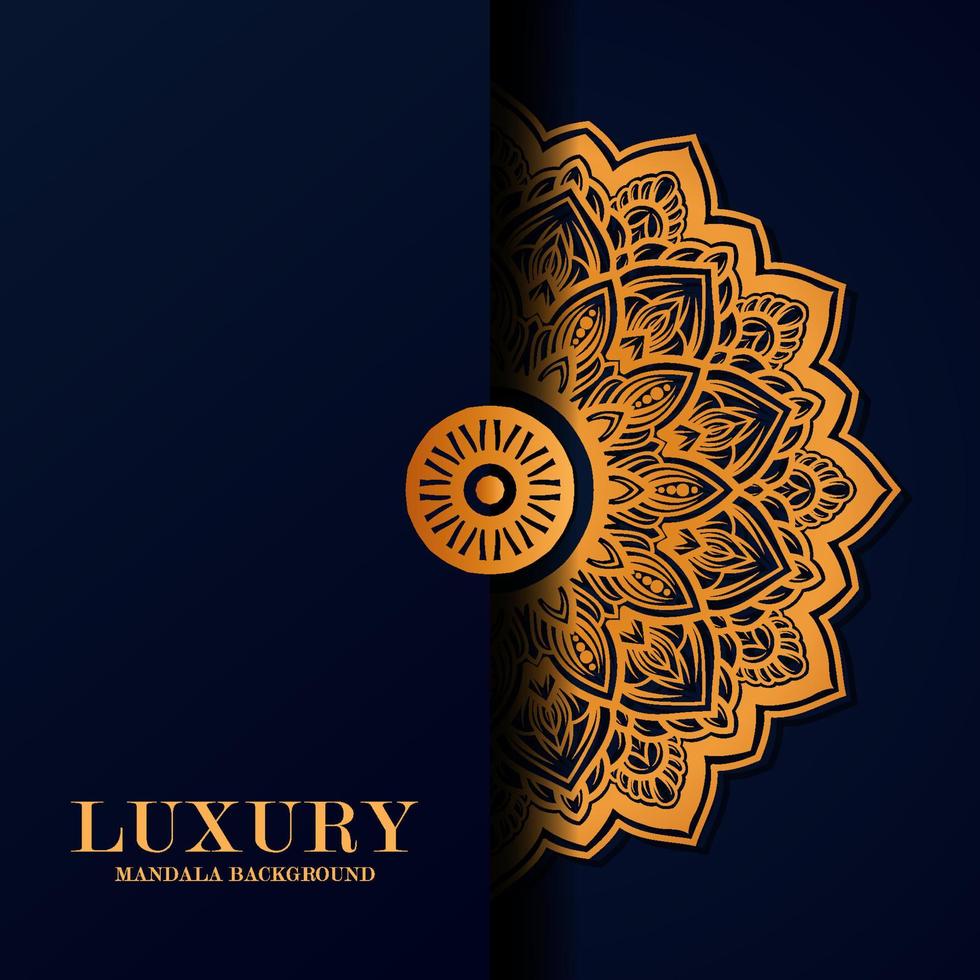 Luxury mandala round ornament pattern background vector