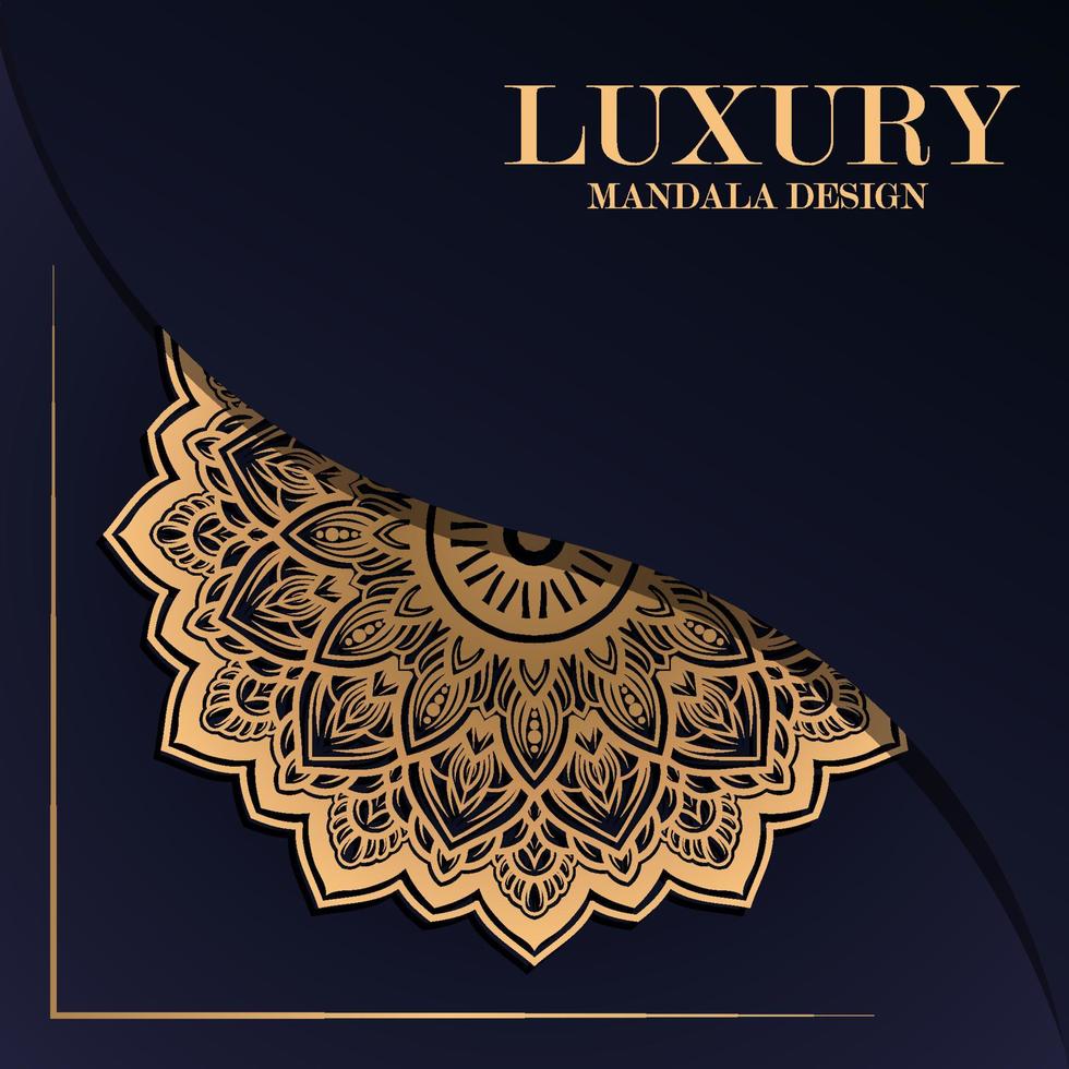 luxury circular pattern mandala background vector
