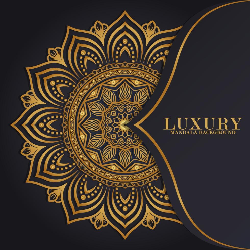 ornament luxury mandala background vector