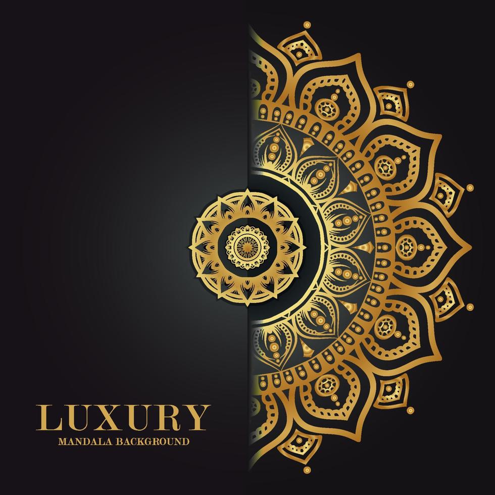 Luxury mandala round ornament pattern background vector