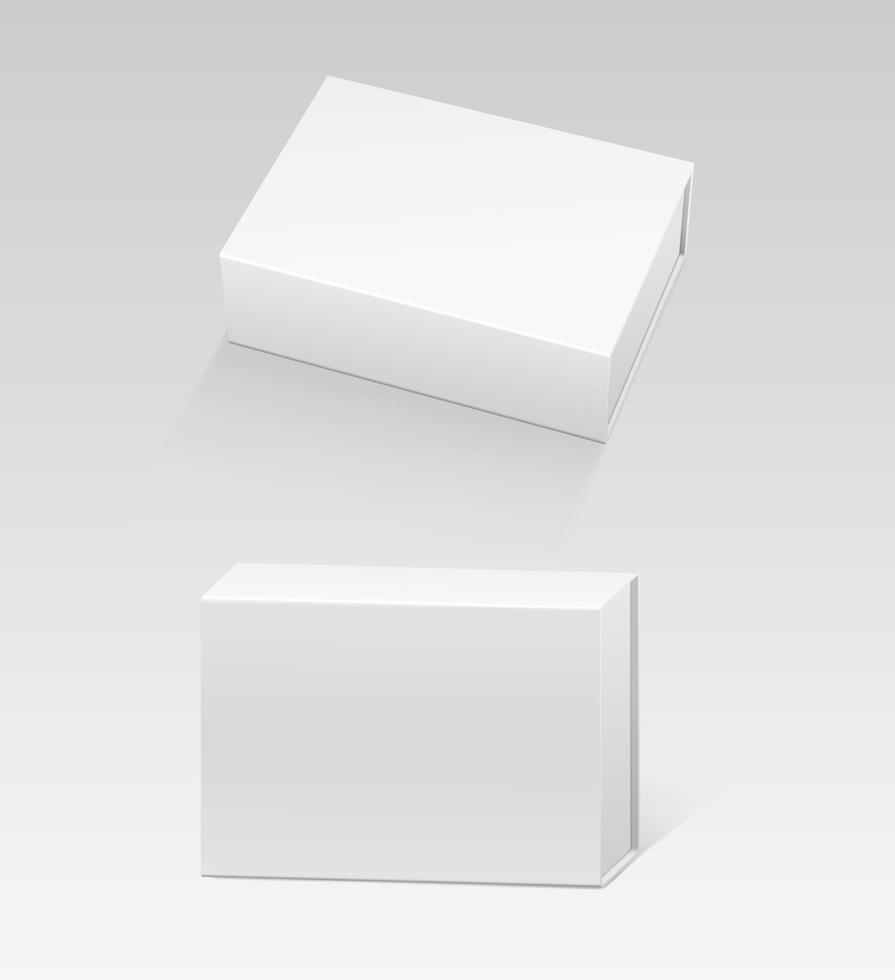 Box packaging mockups vector