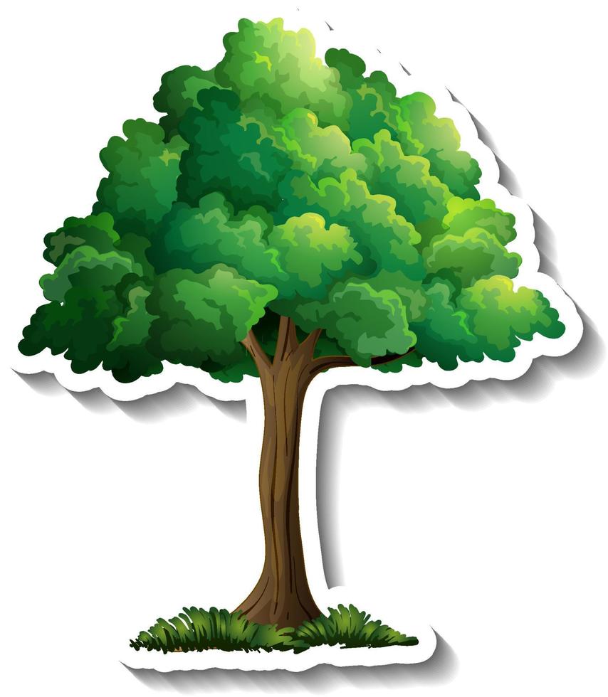 Tree sticker on white background vector