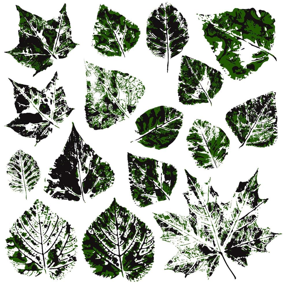 conjunto de dibujos vectoriales con pinturas acrílicas. colección de hojas de otoño vector