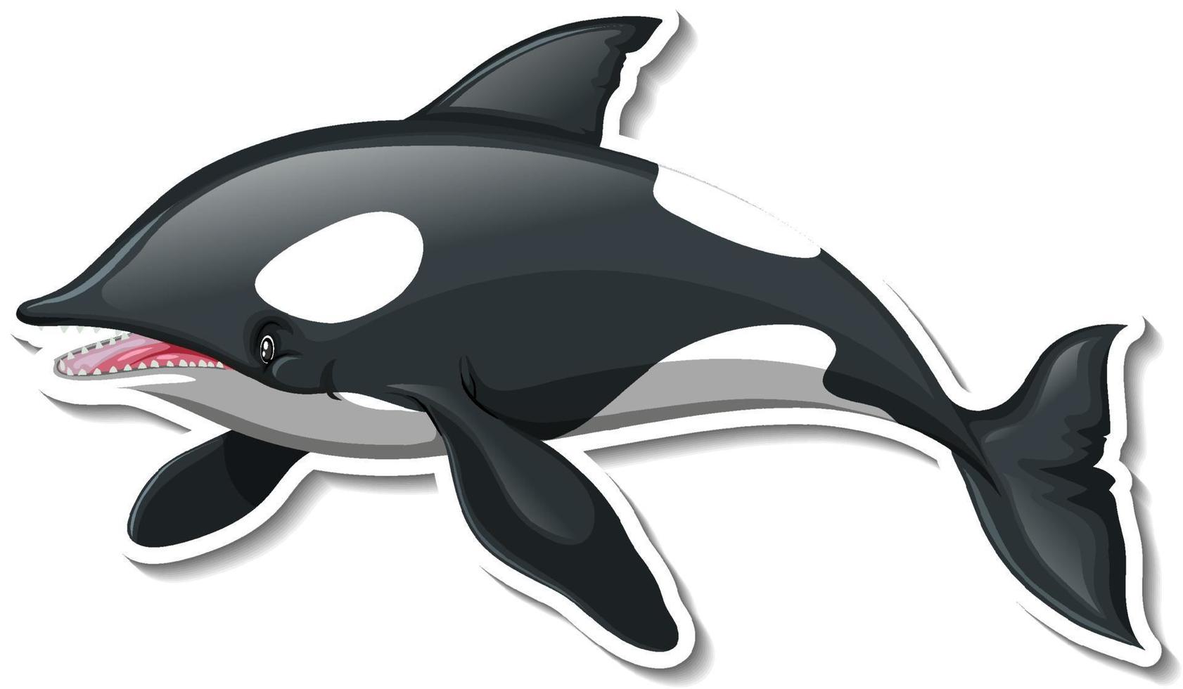 A sticker template of killer whale cartoon character vector