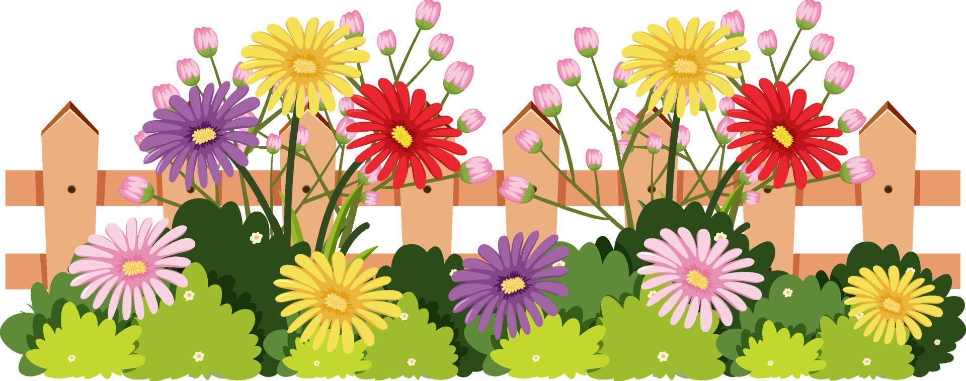 Beautiful spring flower on white background vector