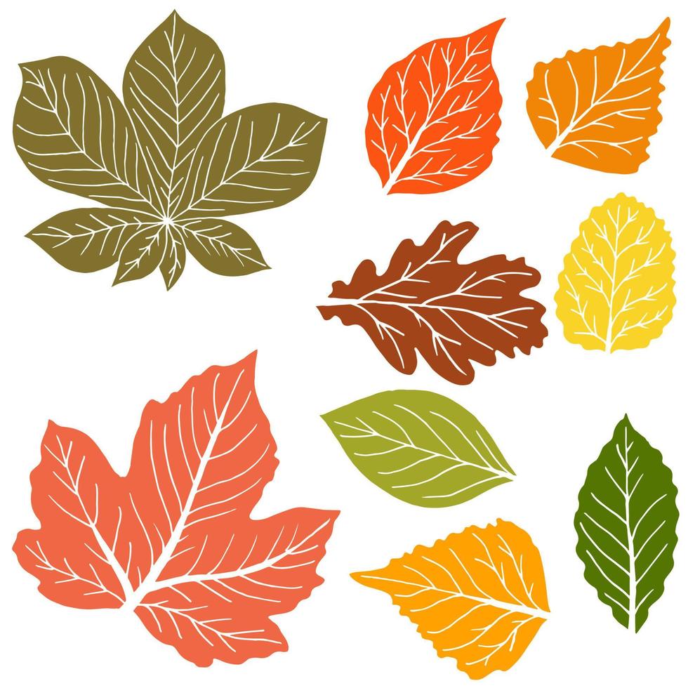 Set of vector drawings with acrylic paints. Collection of autumn leaves