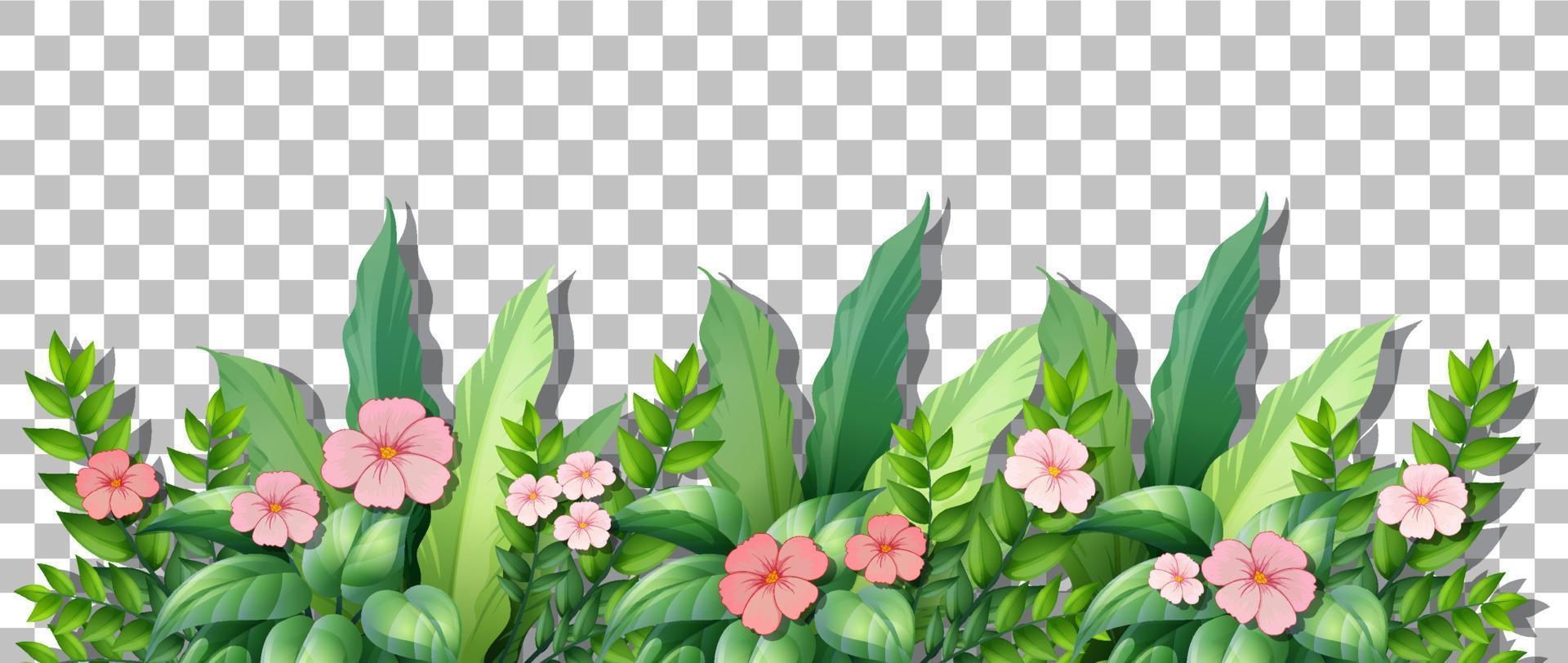 Flower bush with leaves on grid background vector