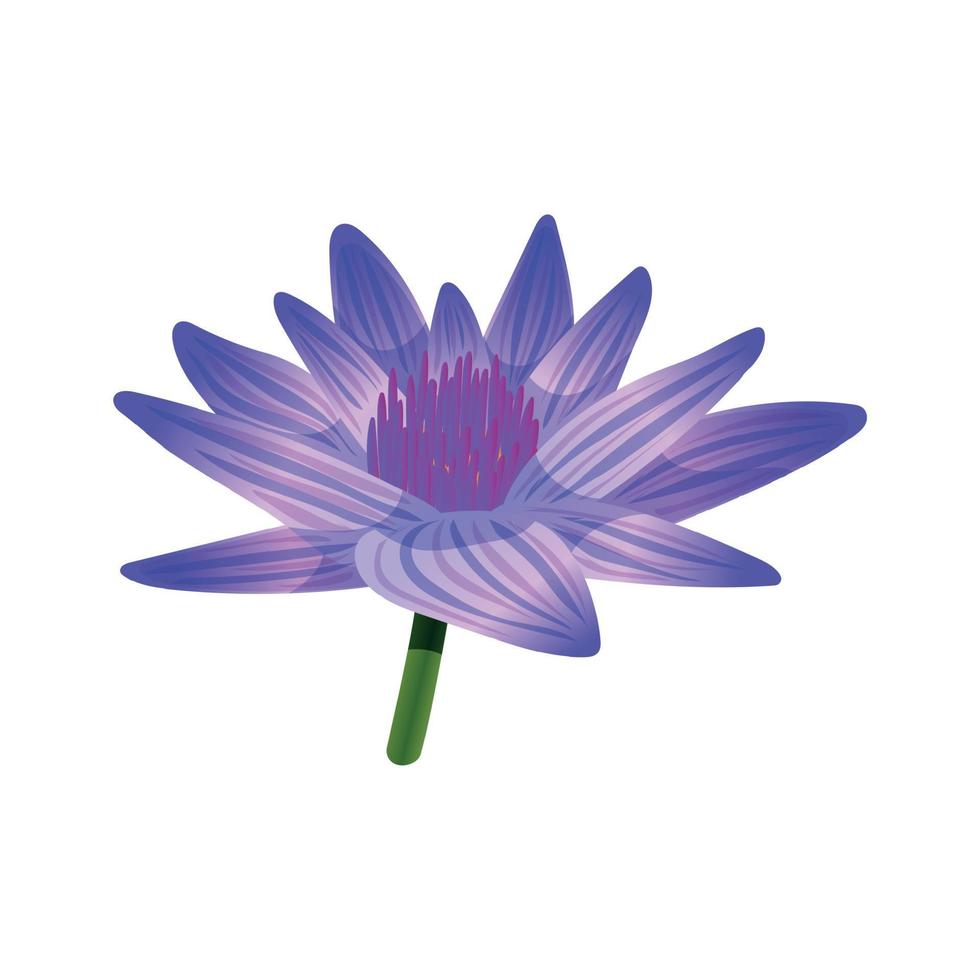 Blue Lotus Flower Composition vector