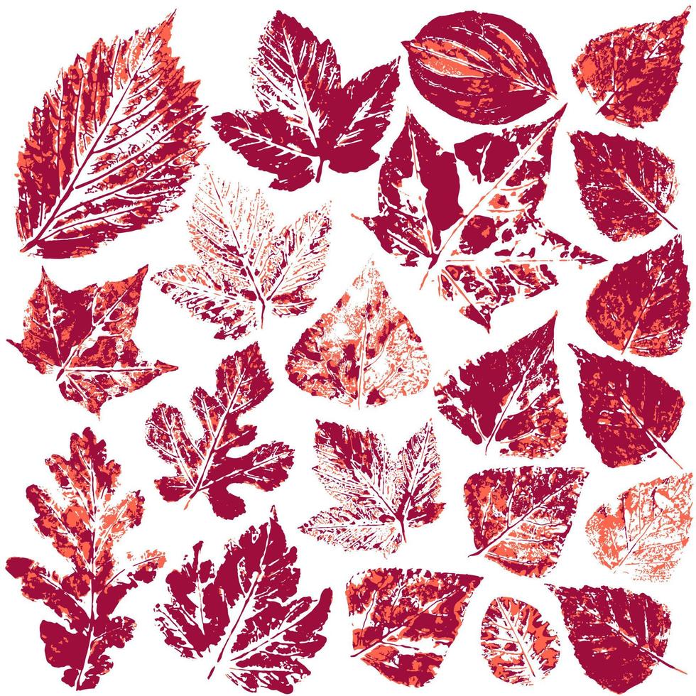 Set of vector drawings with acrylic paints. Collection of autumn leaves