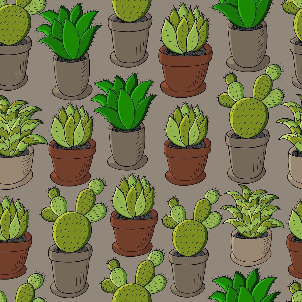 Cute vector illustration. Cacti, aloe, succulents. Decorative natural elements