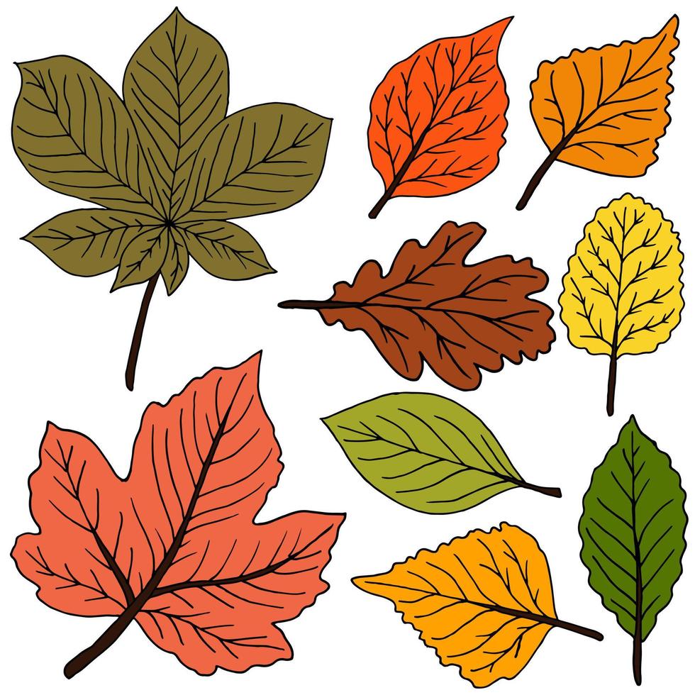 Set of vector drawings with acrylic paints. Collection of autumn leaves